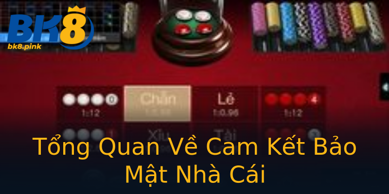 Tổng Quan Về Cam Kết Bảo Mật Nhà Cái Tổng Quan Về Cam Kết Bảo Mật Nhà Cái